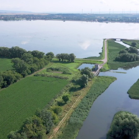 Blick von oben auf einen See