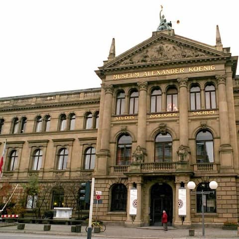 Museum Alexander König in Bonn