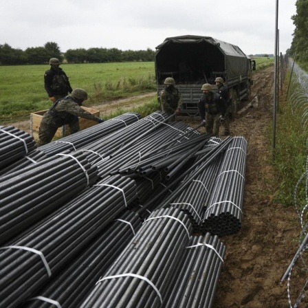 Polnische Soldaten, bauen einen Zaun an der Grenze zu Belarus auf.