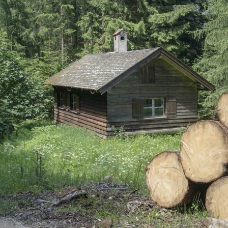 Waldhütte.