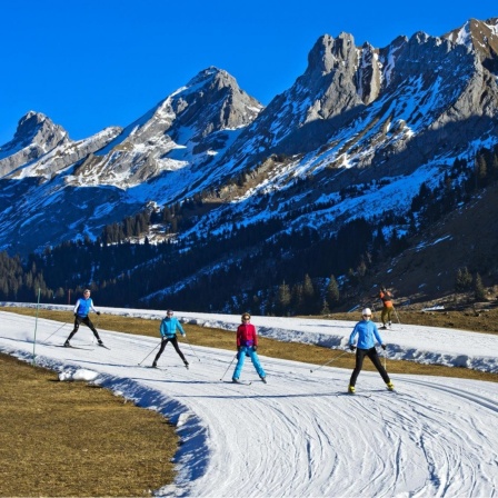 Skilangläufer auf Loipen aus Kunstschnee vor dem Massif des Aravis