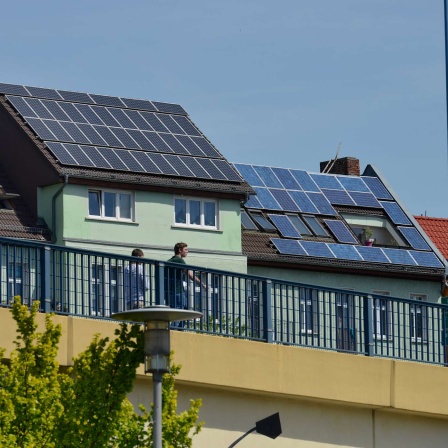 Eine Häuserreiche mit Solardächern in Berlin. (Quelle: Picture Alliance)