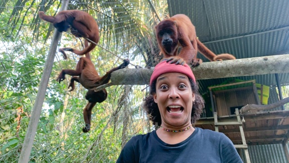 Anna, Paula, Pia Und Die Wilden Tiere - Laut, Lauter, Brüllaffe!