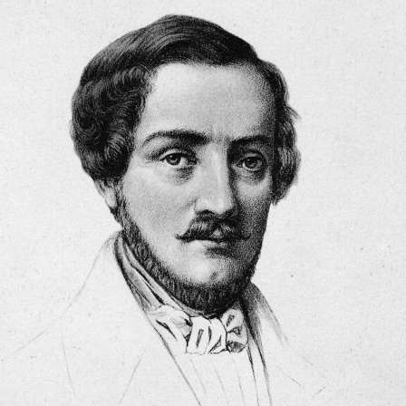 Stich zeigt ein Porträt des Komponisten Gaetano Donizetti, ein Mann mit gewelltem Haar und einem gepflegten Vollbart
