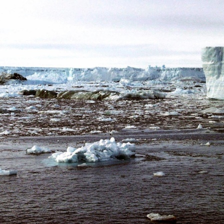Eisberge und -schollen treiben nach dem am 8. März 2002 im Meer der Antarktis, nachdem sich dort eine gigantische Eisfläche von mehr als der vierfachen Größe Hamburgs gelöst hat und in mehrere tausend Teile zerbrochen istDie