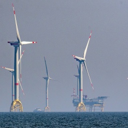 Offshore-Windkraftanlagen stehen in der Ostsee.