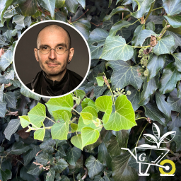 Komm mit in den Garten der ARD GartenPodcast · Neue Folgen Jetzt