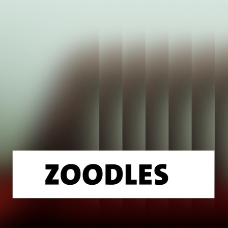Wort der Woche: Zoodles