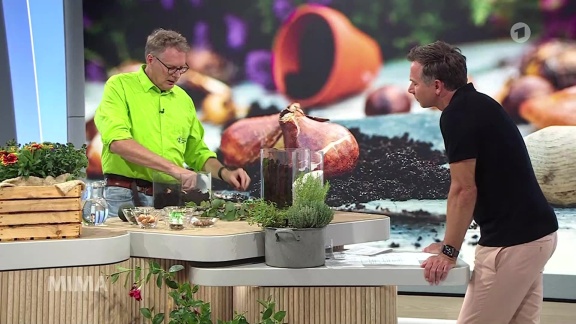 Mittagsmagazin - Tipps Zum Herbstanfang Von Garten-experte René Wadas