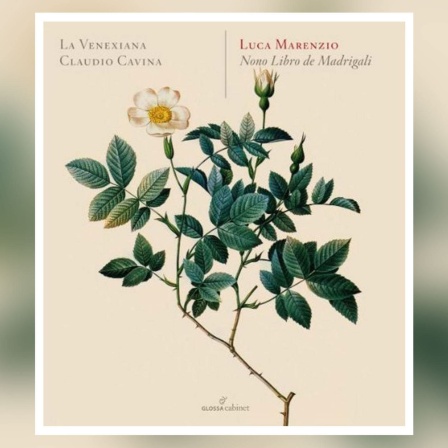 CD-Cover: Luca Marenzio: Nono Libro de Madrigale