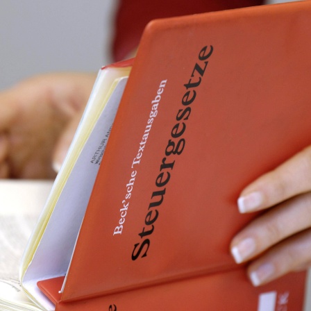 Buch Steuergesetze