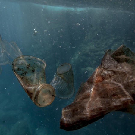 Vermüllte Weltmeere - Wie die Plastikkrise den Lebensraum Ozean bedroht