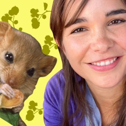 Anna und eine Haselmaus