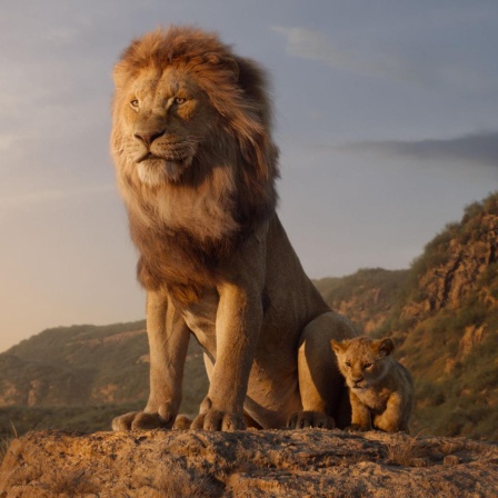 Filmtipp: Der neue Disneyfilm "König der Löwen"