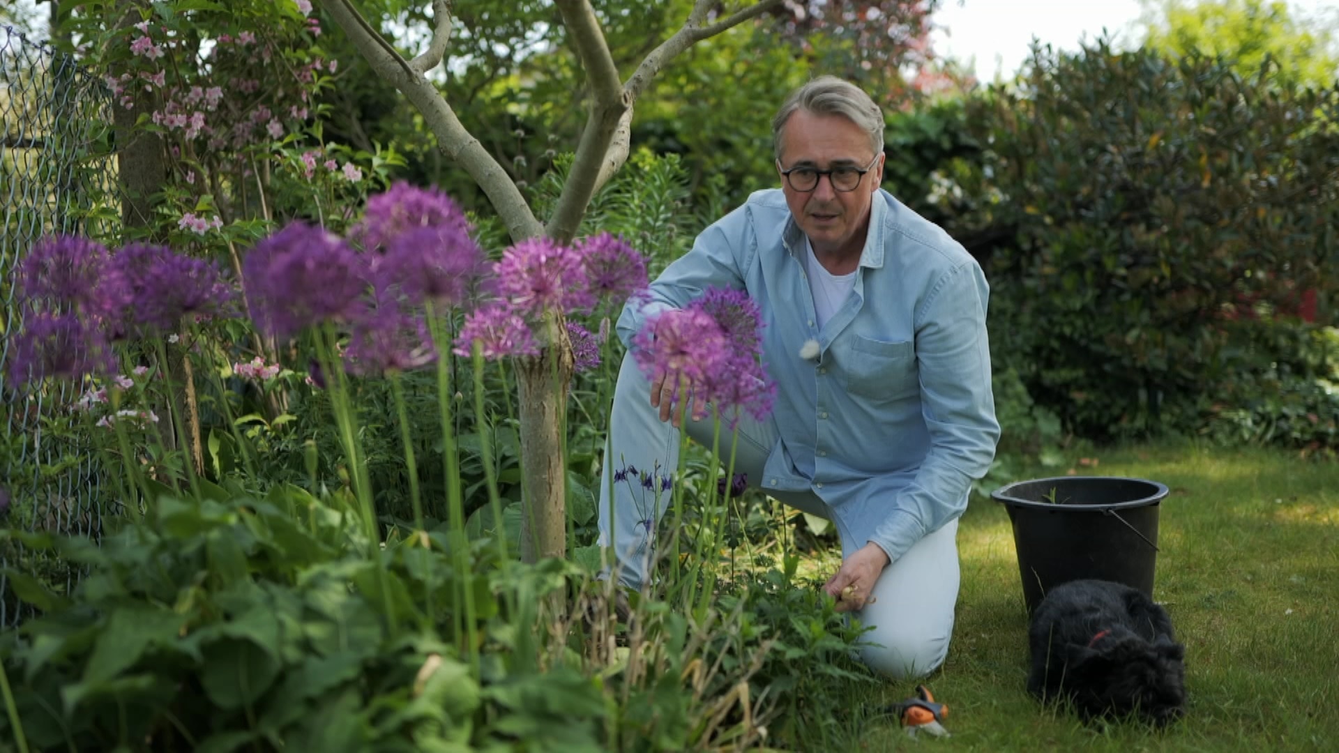 rbb Gartenzeit Horst sein Schrebergarten Tipps für den Juni ARD