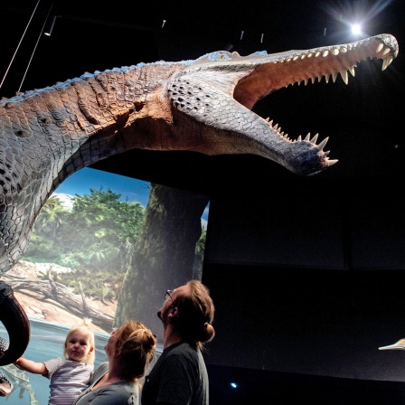 Eine Familie betrachtet ein lebensgroßes Modell eines Spinosaurus in der Erlebnisausstellung "Saurier - Giganten der Meere" im Aquarium Wilhelmshaven. 