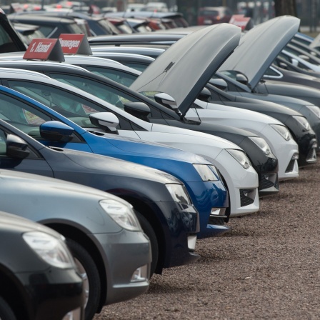 Gebrauchtwagen stehen bei einem Autohändler nebeneinander