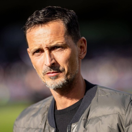Dino Toppmöller, Trainer von Eintracht Frankfurt