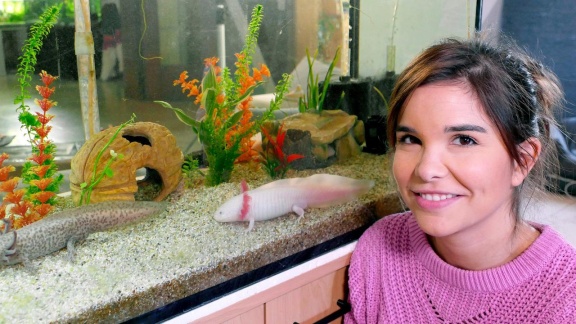 Anna, Pia Und Die Haustiere - Axolotl