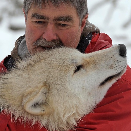 “Wölfe heulen nicht nur bei Vollmond.“ | Kurt Kotrschal, Verhaltensforscher