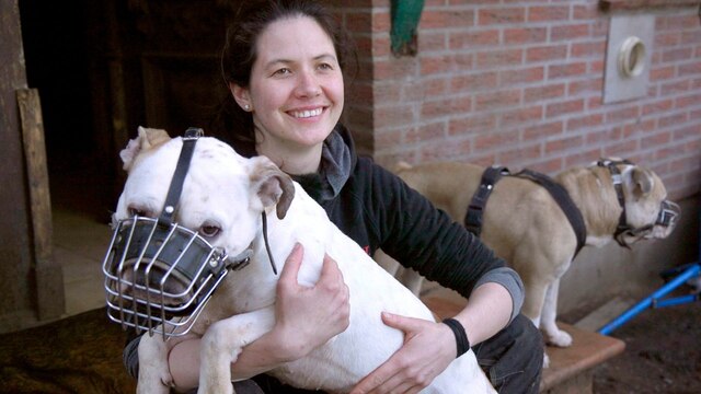 Hundetrainerin Vanessa Bokr mit einem Bullterrier.