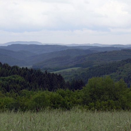 Berglandschaft im Bergischen Land bei Bielstein