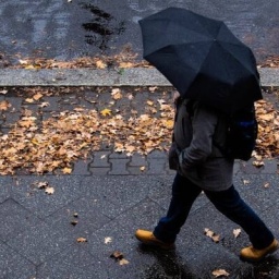 Person mit schwarzem Regenschirm geht einen nassen, mit Blättern übersäten Bürgersteig entlang.