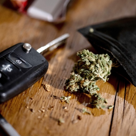 Cannabisblüten liegen auf einem Tisch neben einem Autoschlüssel.
