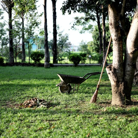 In einem Garten lehnt ein Reisig-Besen an einem Baum, neben dem eine Schubkarre steht und ein Haufen mit Gartenabfällen liegt.