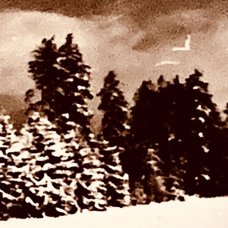 Oberpfalz früher mit Bäumen und mit Schnee