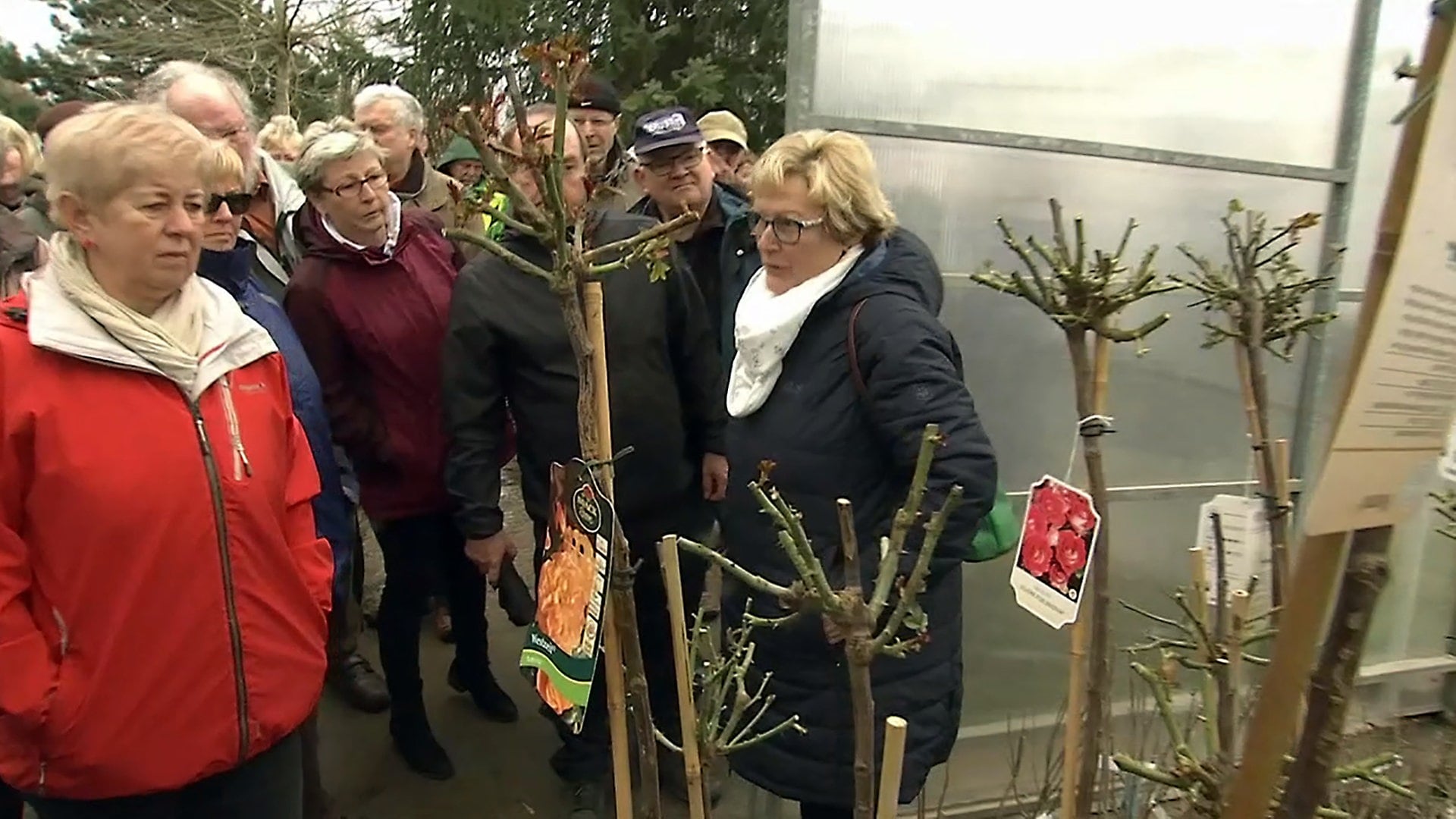 49+ Mdr Garten Mediathek 2019, Links diese sendung im livestream mit