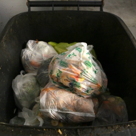 Plastikbeutel im Mülleimer