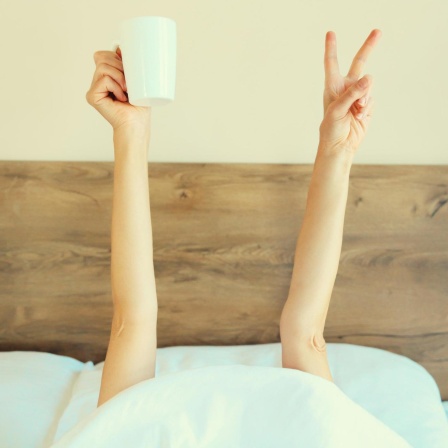 Der Morgen ist die allerbeste Tageszeit! | Welche Fragen sind zu schwer für die KI? | 1,3 als magische Zahl für Straßenverbindungen (171)