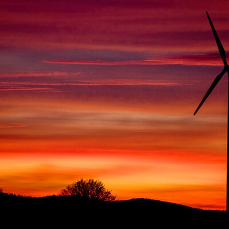 Windrad in der Abendsonne