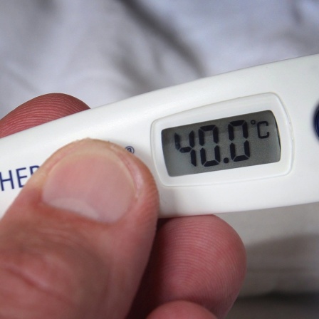 Ein digitales Fieberthermometer zeigt 40 Grad an