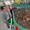Wissenschaftler vor einem einem großen grünen Behälter mit Fischen.