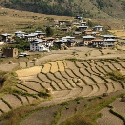 Blick auf das Dorf Sopsokha in Butan inmitten von Terrassenfeldern für den Reisanbau.