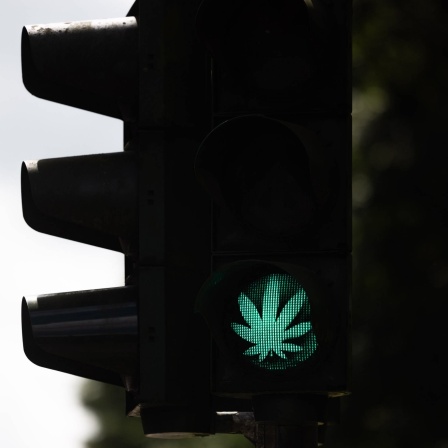 Ein Cannabis-Blatt leuchtet während der Grünphase an einer Ampel. Die Cannabis-Legalisierung in Deutschland kann kommen.