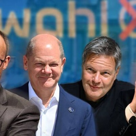 Fotocollage: Merz, Scholz, Habeck und Weidel.
