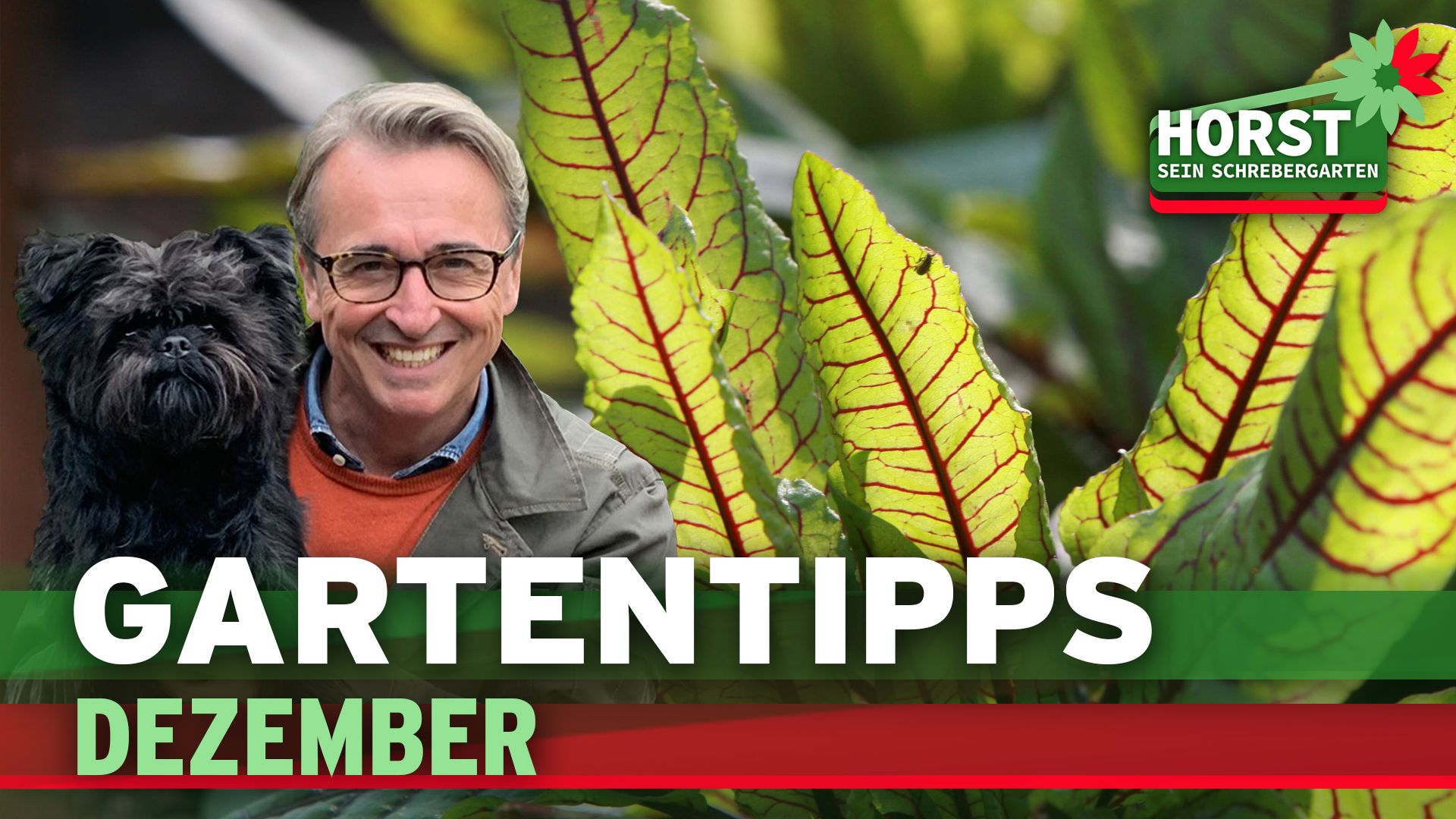 rbb Gartenzeit Gartentipps von Horst ARD Mediathek
