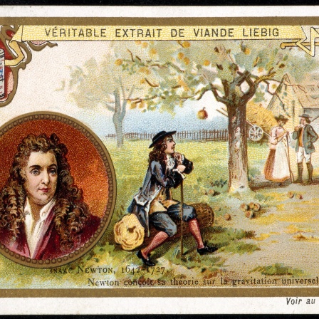 Liebigbild: Isaac Newtons (1643 - 1727) angebliches Schlüsselerlebnis mit dem Apfel, dargestellt auf einem fanzösischen Liebig-Fleischextrakt-Sammelbild Ende des 19. Jahrhunderts