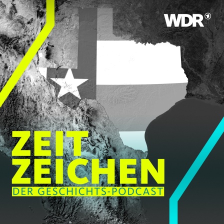 Satellitenaufnahme von Texas, wird von der Flagge des US-Bundesstaates ausgefüllt