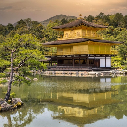 Japan: Zen-Meister in Kyoto | Lecker - Chin Mi in Shizuoka | Igel-Café in Tokio