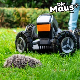 Ein Mähroboter fährt auf etwas zu, das aussieht wie ein Igel