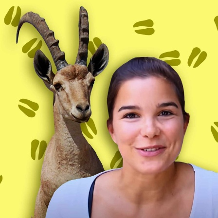 Anna zusammen mit einem Steinbock | Bild: BR