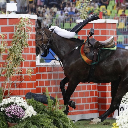 Der Moderne Fünfkämpfer Jan Kuf aus Tschechien fliegt bei der Reitdisziplin bei Olympia 2016 in Rio vom Pferd. 