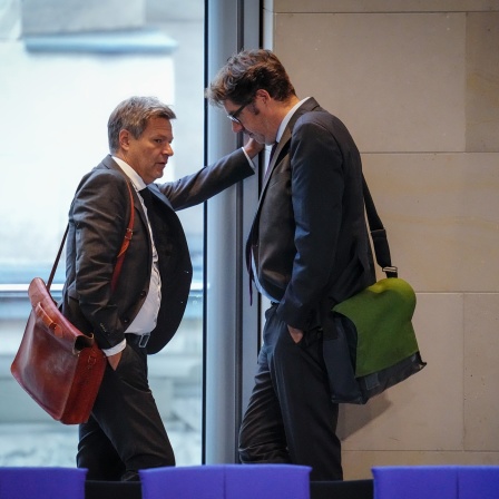 Robert Habeck, Bundesminister für Wirtschaft und Klimaschutz, und Michael Kellner, Grüner Staatssekretär im Bundeswirtschaftsministerium, unterhalten sich während einer Sitzung des Bundestags (Bild: dpa / Kay Nietfeld)