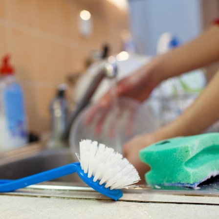 Spülbürste und Schwamm: In der Küche hat ein Schwamm zum Reinigen eigentlich nichts zu suchen; er ist unhygienisch. Tücher sind besser, weil sie sich  besser in der Waschmaschine reinigen lassen. Wenn Sie die Wahl haben zwischen Schwamm und Bürste, nehmen Sie die Bürste - die ist besser.