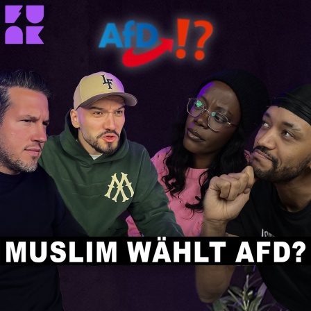 Warum Ausländer die AfD pushen: EXPLAINED - Thumbnail