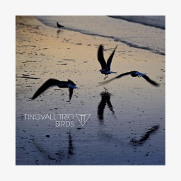 CD-Cover "Birds" vom Tingvall Trio